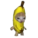 Banana Cat