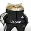 Napim