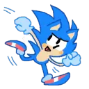 sonic zoom