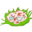 bloody tooth mushroom