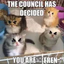 council decide