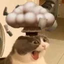 cat head explode