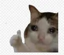 cat thumbs up