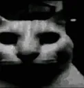 Scary