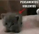 Pensamientos violentos