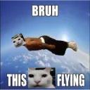 Bruh this Flying