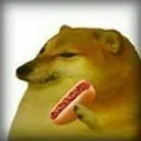 doge hotdog