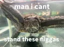 i cant stand yall
