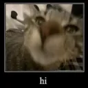 hicat