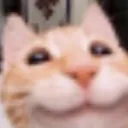 :3