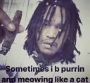 sometimes i b purrin