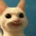 erm .gg/the-enchanted