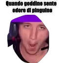 pinguino puzza