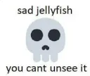Sad Jellyfish