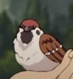 choo