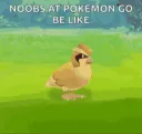 pogo-noob