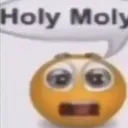 holy_moly