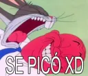 SePicóXD