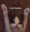 i want boobies