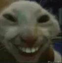 catsmile