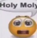holy moly