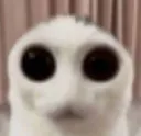 Mona stares at u