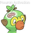 Neuron Activation