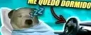 Me quedo dormido