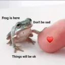 froggie says everything OK
