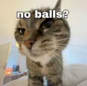 no balls?