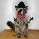 fingergunsraccoon