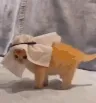 arab cat