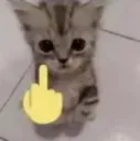 fuck you /gyals