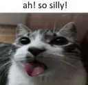 so silly