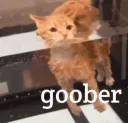 goober