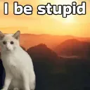 i be stupid