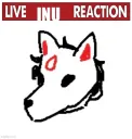 LiveInuReaction