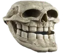 Troll Skull