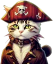 Pirate cat
