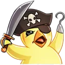 Pirate chick