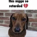 retarted  .gg/dracula