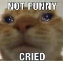 not Funny Cried