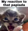 papiada
