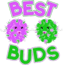 BB_BestBudsWhite