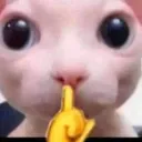 shush