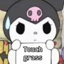 Touch Grass