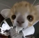 You there?
