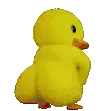 duck twerk