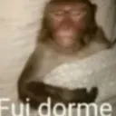 fui dorme