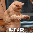 dat ass